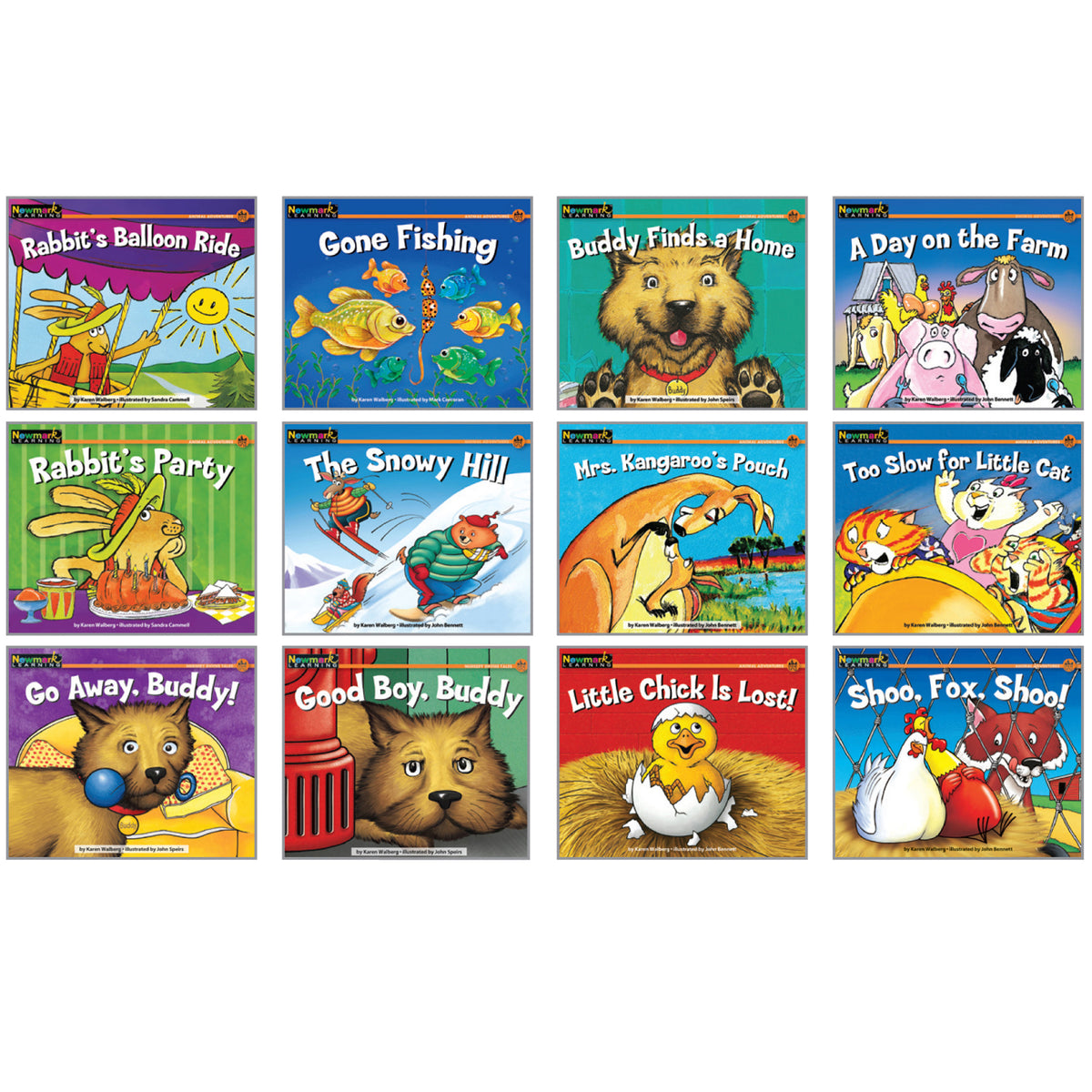 Rising Readers Leveled Book, Fiction Set, Set of 12