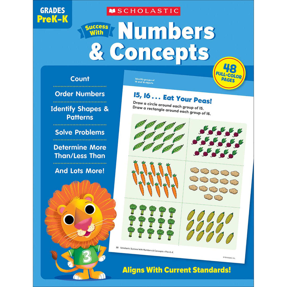 Success With Numbers &amp; Concepts